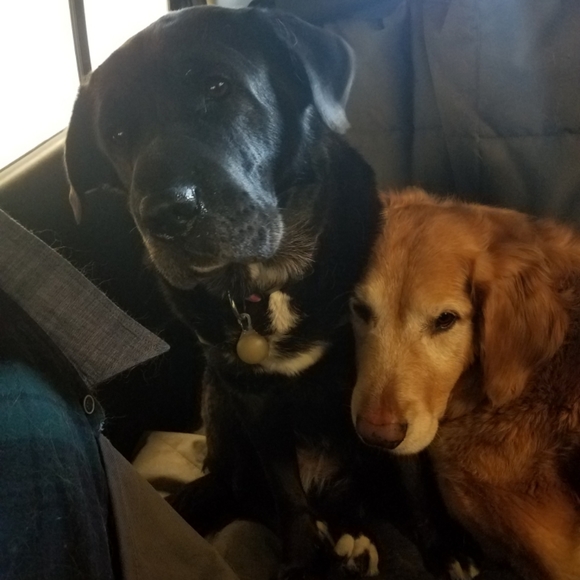 Meet your Posher, Leslie - Picture 10 of 16